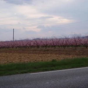 L'élie Sous Les Noyers, Le Hébergement de vacances